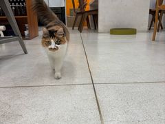 -玫瑰咖啡(中山六路店)