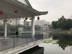 -荔湾湖公园