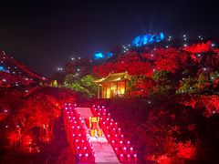 -印象普陀