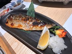 烤青花鱼-南风(淮海街店)