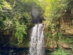 -鹿院坪生态旅游景区