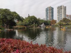 -晓港公园