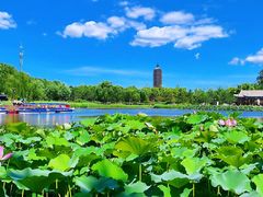 -西海子公园