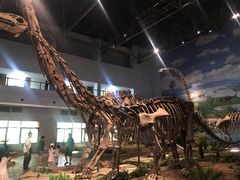 -自贡恐龙博物馆