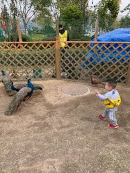 -萌宠亲子动物乐园(槐房万达店)