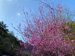 -天台山赤城山景区