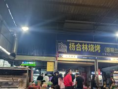 -杨合林啊兰烤鱼