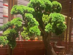 -牛村来人潮汕牛肉火锅(西单店)