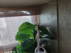 -施奈儿.洗头頭療.按摩SPA.采耳(上梅林店)