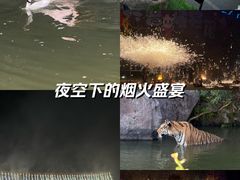 -宁波野生动物园