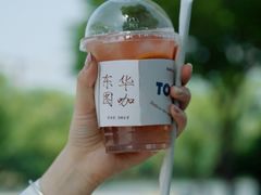 -东华大学(松江校区)