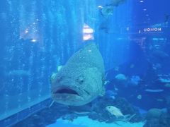 -成都浩海立方海洋公园