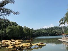-深圳仙湖植物园
