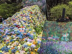 -上海共青森林公园