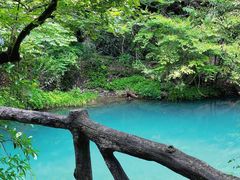 -石台牯牛降景区