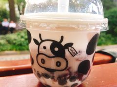 -TPLUS茶家(淮海店)