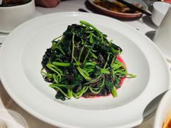-许家菜(DT51店)