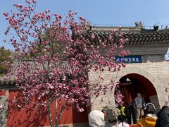 -红螺寺