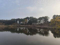 -西湖风景区-江洋畈生态公园