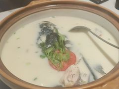 -全乐鱼馆·淳牌有机鱼直营店