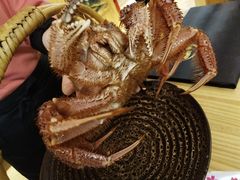 -鲔屋寿喜烧