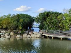 -上海吴淞炮台湾国家湿地公园