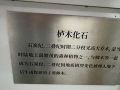 -中国第四纪冰川遗迹陈列馆