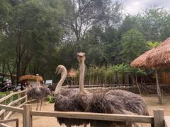 -北京野生动物园