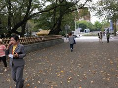 -名古屋城