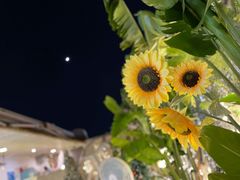 景观位-天空花园餐吧·生日·团建(南山店)