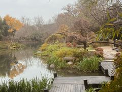 -西溪国家湿地公园