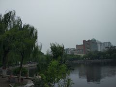 -文瀛公园
