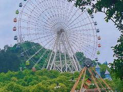 -温州乐园