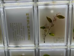 -广东中医药博物馆