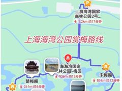 -上海海湾国家森林公园