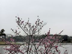 -小树照相馆·证件照(打浦桥店)
