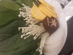 -蝎王府羊蝎子(北大地店)