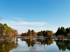 -贡湖湾湿地公园