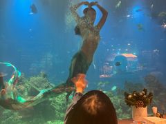 -涛·海底餐厅·美人鱼·自助餐·海底隧道(三亚海棠湾洲际度假酒店)