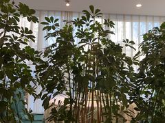 -新疆兵团食府清真(马连道店)