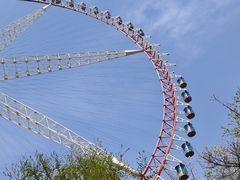 -哈尔滨文化公园