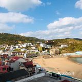 大王村 :枸杞岛的中心 聚集了很多餐饮和住宿的地方