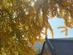 -宝通禅寺