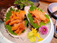 -KITON喜豚(清晖园店)