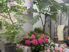 -溪岸路花鸟市场