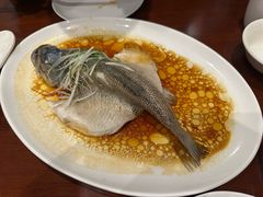 -古南都·老广东酒楼(龙江店)