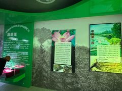 -诸城市恐龙博物馆