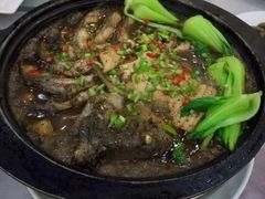 -域乐楼清真饭庄(华北路店)