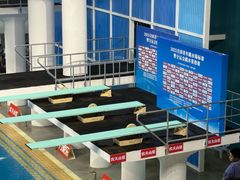 -重庆市奥林匹克体育中心-游泳跳水馆
