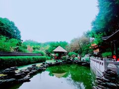 -深圳国际园林花卉博览园